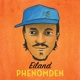 eiland-phenomden-one-ton-lp-analog-_0001.JPG