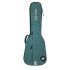 ritter-bern-classical-4-4-aqua-green-zubehoer-zu-kl_0001.jpg
