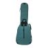 ritter-bern-classical-4-4-aqua-green-zubehoer-zu-kl_0002.jpg