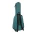 ritter-bern-classical-4-4-aqua-green-zubehoer-zu-kl_0003.jpg