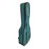 ritter-bern-classical-4-4-aqua-green-zubehoer-zu-kl_0010.jpg