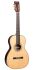 western-guitar-martin-guitar-model-0-1228-modern-d_0001.jpg