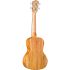 concertukulele-kai-modell-kci-30-mango-_0002.jpg