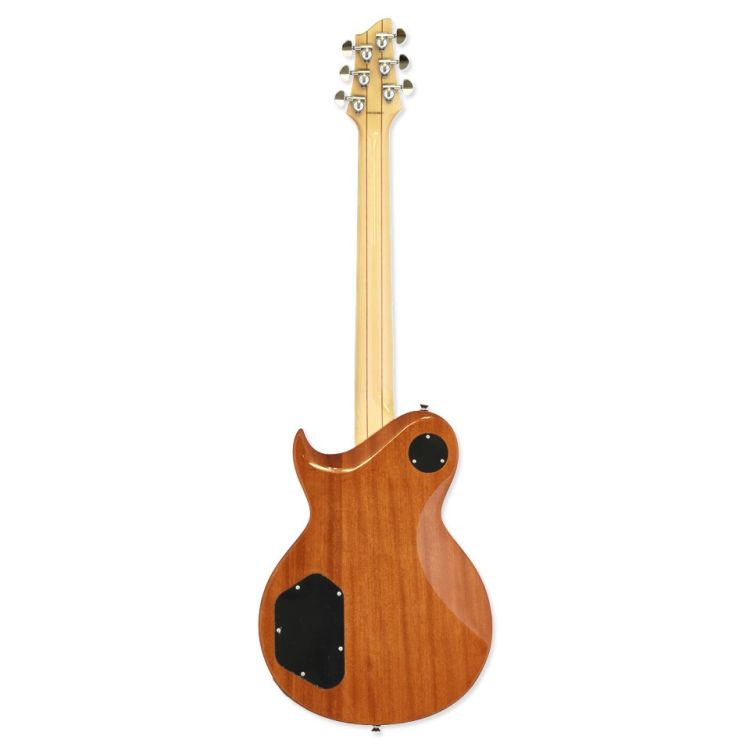guitare-electrique-aria-modele-pe-480-hh-sbk-_0004.jpg
