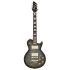 guitare-electrique-aria-modele-pe-480-hh-sbk-_0001.jpg