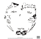 tha-carter-vi-lp-lil-wayne-_republic-lp-analog-_-_0002.JPG