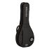 ritter-davos-a-f-mandolin-anthracite-zubehoer-zu-m_0002.jpg