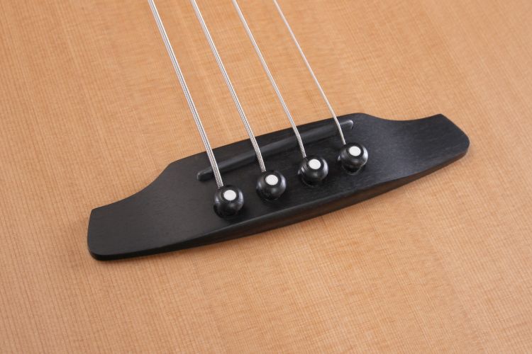 akustikbass-furch-modell-bc-61-cm4-eas-vtc-natural_0008.jpg