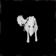 kveikur-sigur-r_s-krunk-lp-analog-_0001.JPG