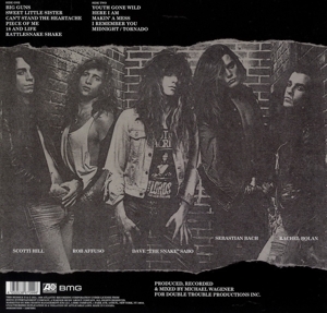 skid-row-bmg-rights-management-lp-analog-_0002.JPG