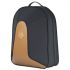 housse-cor-dharmonie-alexander-gig-bag-greenline_0001.jpg