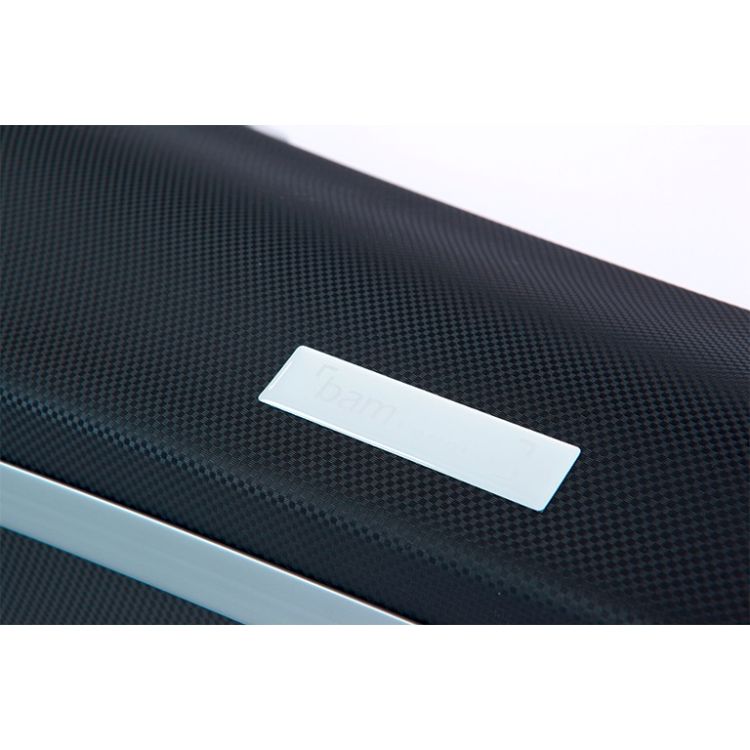 bam-2002xlpa-panther-contoured-violin-case-rucksa-_0004.jpg