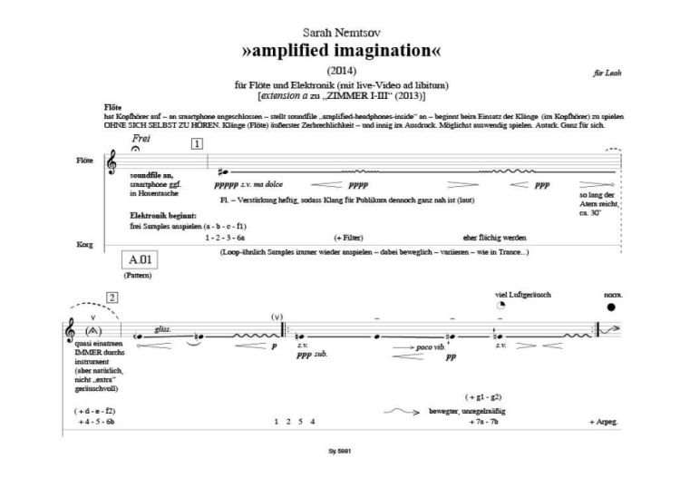 sarah-nemtsov-amplified-imagination-2014-fl-elmus-_0002.jpg