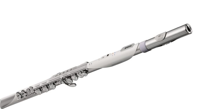 digitale-querfloete-roland-aerophone-brisa-_0002.jpg