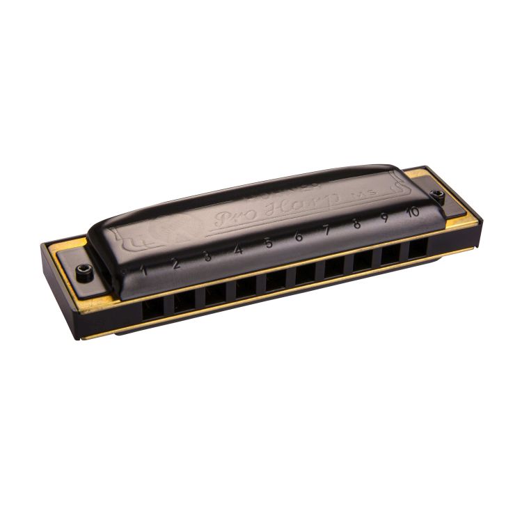 harmonica-hohner-pro-harp-d-dur-diatonique-noir_0001.jpg