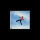 wildchild-alex-warren-atlantic-cd_0001.JPG