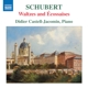 waltzes-and-ecossaises-didier-castell-jacomin-pian_0001.JPG