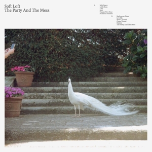 the-party-and-the-mess-soft-loft-soft-loft-lp-anal_0001.JPG