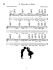 dick-sheridan-the-irish-tenor-banjo-bj-_noten-mit-_0014.jpg