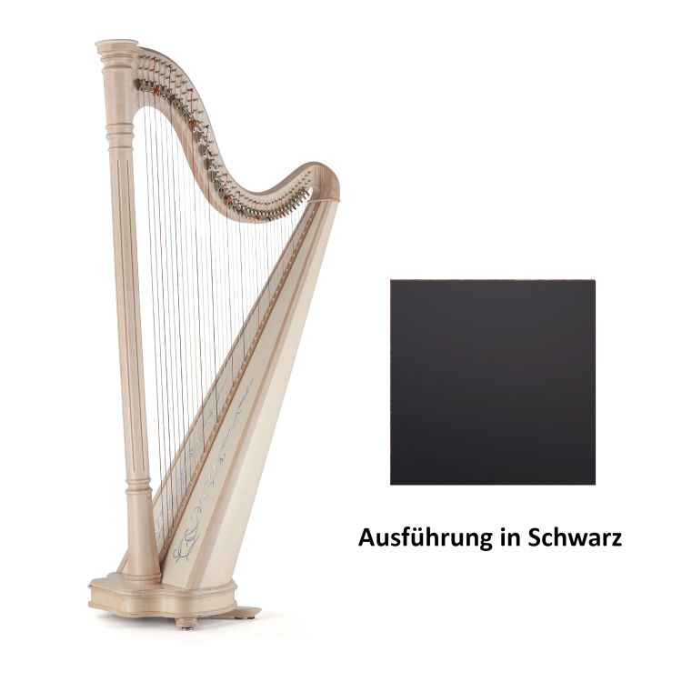 harpe-a-clavettes-salvi-modele-ana-40-noir-mat_0001.jpg