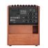 amplificateur-multi-instruments-acus-modele-ferdi-_0002.jpg