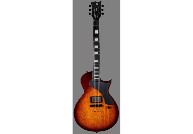 guitare-electrique-ltd-guitars-modele-ec-01-ft-vin_0001.jpg