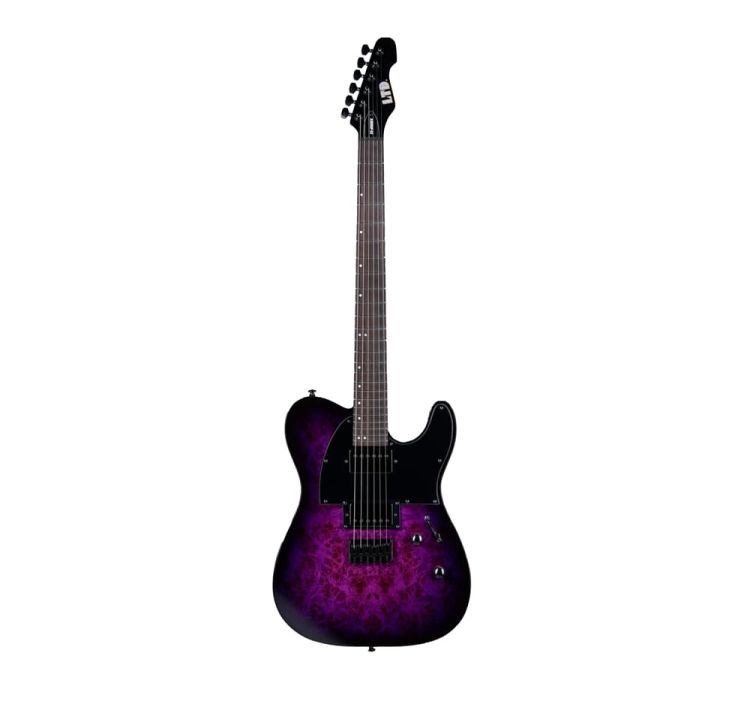 electric-guitar-ltd-guitars-model-te-200dx-_0001.jpg