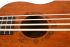 bassukulele-flight-modell-dubs-_0004.jpg