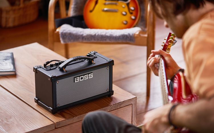 guitar-amplifier-boss-model-dual-cube-lx-2x5-w-bla_0006.jpg