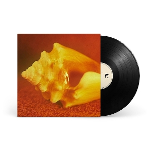sirenas-allah-las-mexican-summer-lp-analog_0001.JPG