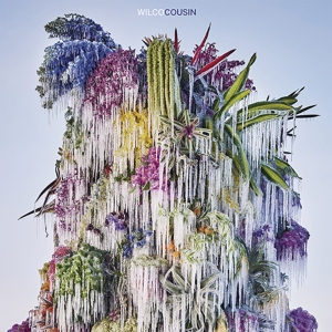 cousin-wilco-lp-analog-_0001.JPG