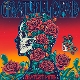 gratest-hits-grateful-dead-rhino-cd_0002.JPG