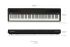 digital-piano-roland-modell-fp-40-weiss_0006.jpg