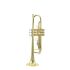 b-trompete-carol-brass-carnival-lackiert-gold-_0001.jpg