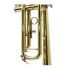 b-trompete-carol-brass-carnival-lackiert-gold-_0010.jpg