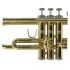 b-trompete-carol-brass-carnival-lackiert-gold-_0011.jpg