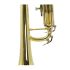 b-trompete-carol-brass-carnival-lackiert-gold-_0013.jpg