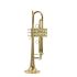 b-trompete-carol-brass-junior-lackiert-gold-_0001.jpg