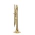 b-trompete-carol-brass-junior-lackiert-gold-_0002.jpg