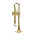 b-trompete-carol-brass-junior-lackiert-gold-_0003.jpg