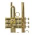 b-trompete-carol-brass-junior-lackiert-gold-_0006.jpg