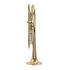 b-trompete-carol-brass-up-lackiert-gold-_0002.jpg