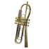 b-trompete-carol-brass-up-lackiert-gold-_0009.jpg