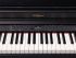 digital-piano-roland-modell-rp701-cb-contemporary-_0005.jpg