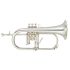 fluegelhorn-yamaha-yfh-8315-gs-versilbert-silber-_0001.jpg