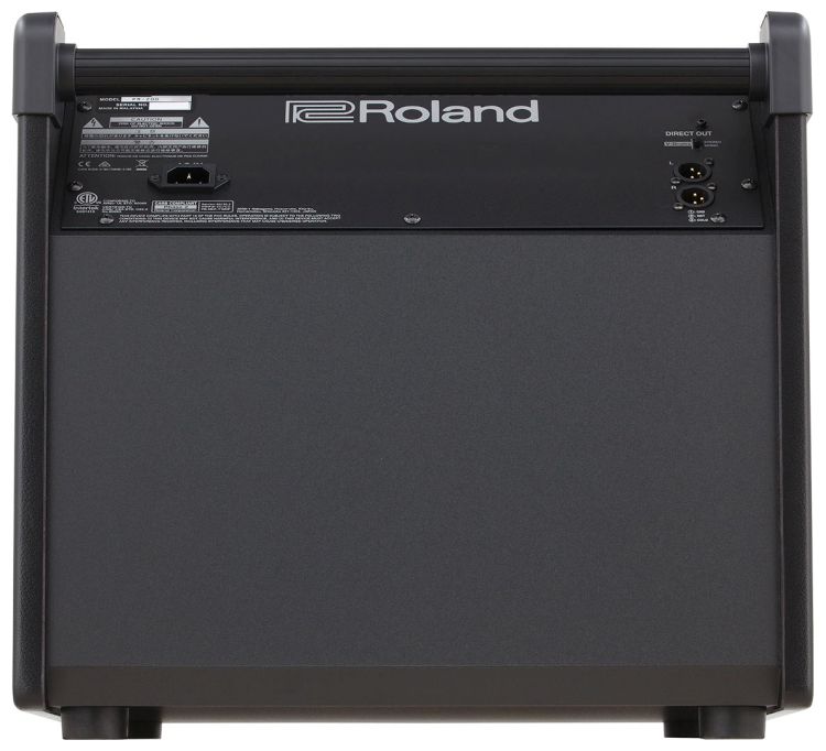 monitor-roland-model_0007.jpg