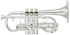 eb-cornet-yamaha-ycr-8620s-02-versilbert-silber-_0001.jpg