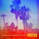 somewhere-between-the-power-lines-and-palm-trees-d_0001.JPG