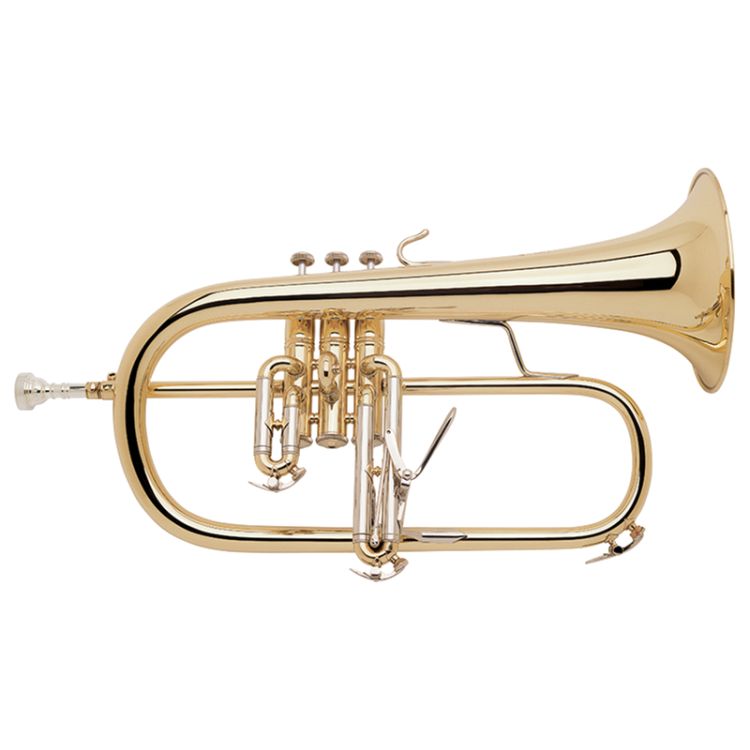 fluegelhorn-bach-183-lackiert-_0001.jpg