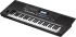 keyboard-roland-modell-e-x50-schwarz-_0006.jpg